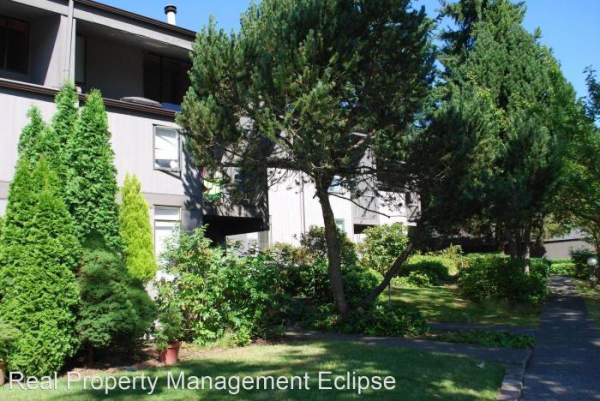 Picture of Home For Rent in Redmond, Washington, United States