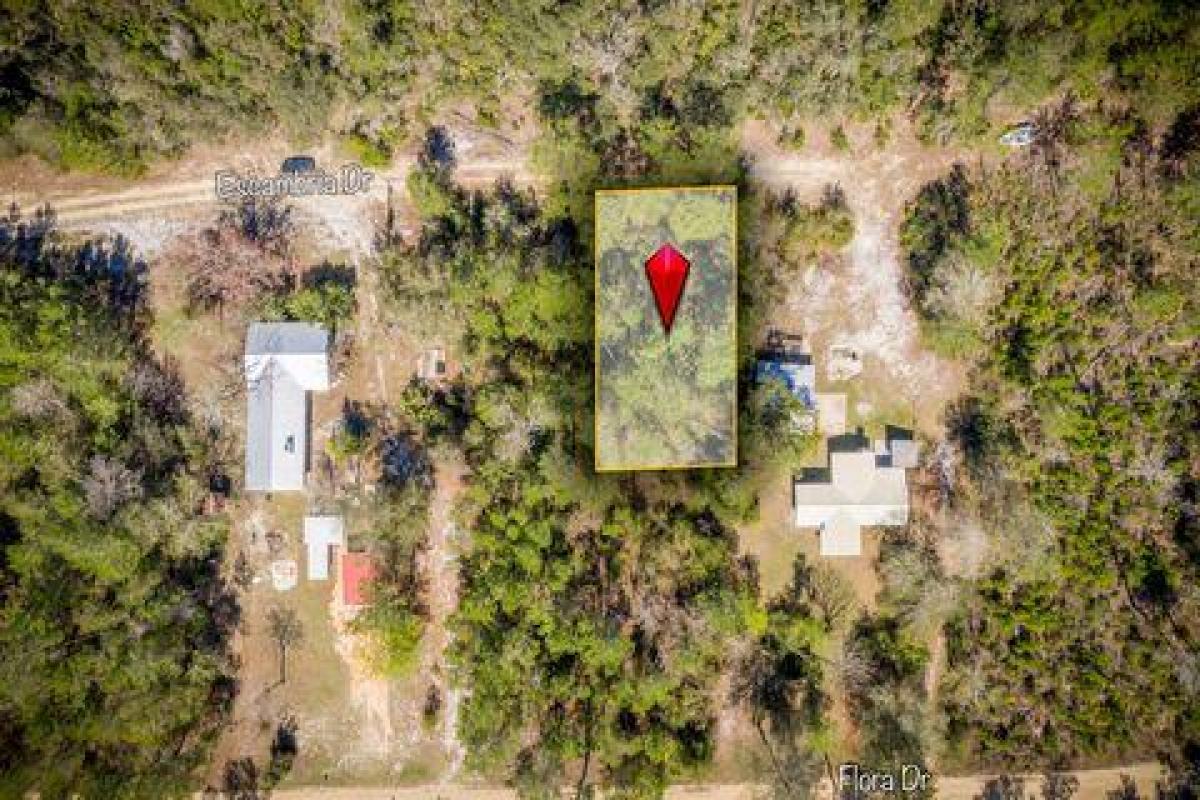 Picture of Residential Land For Sale in Florahome, Florida, United States