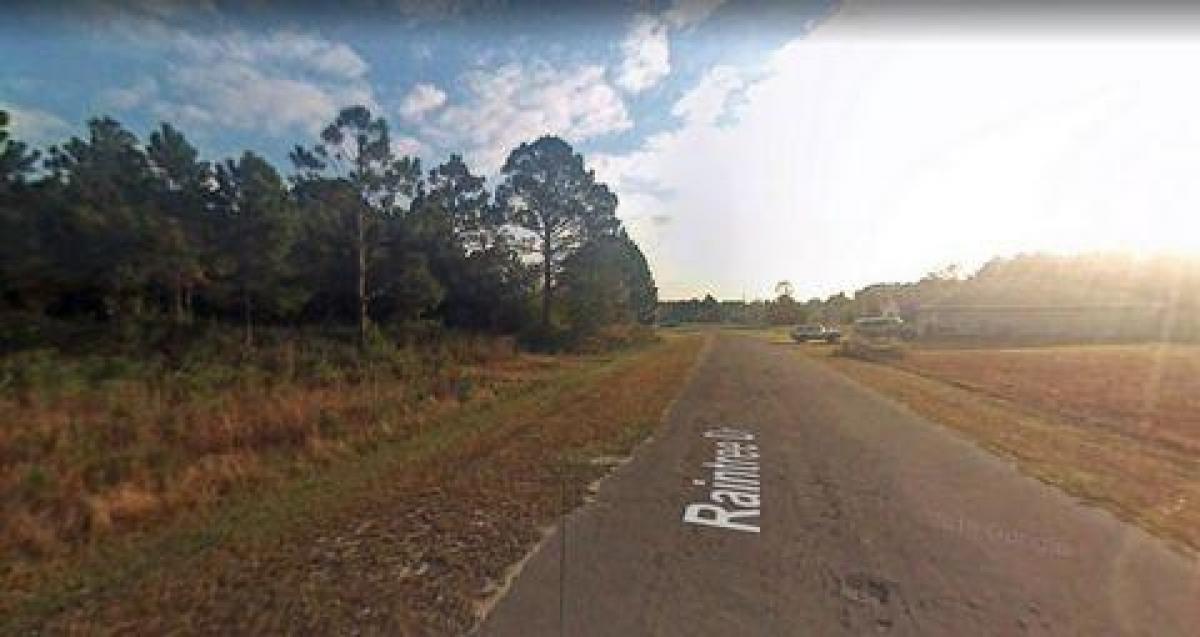 Picture of Residential Land For Sale in Panama City, Florida, United States