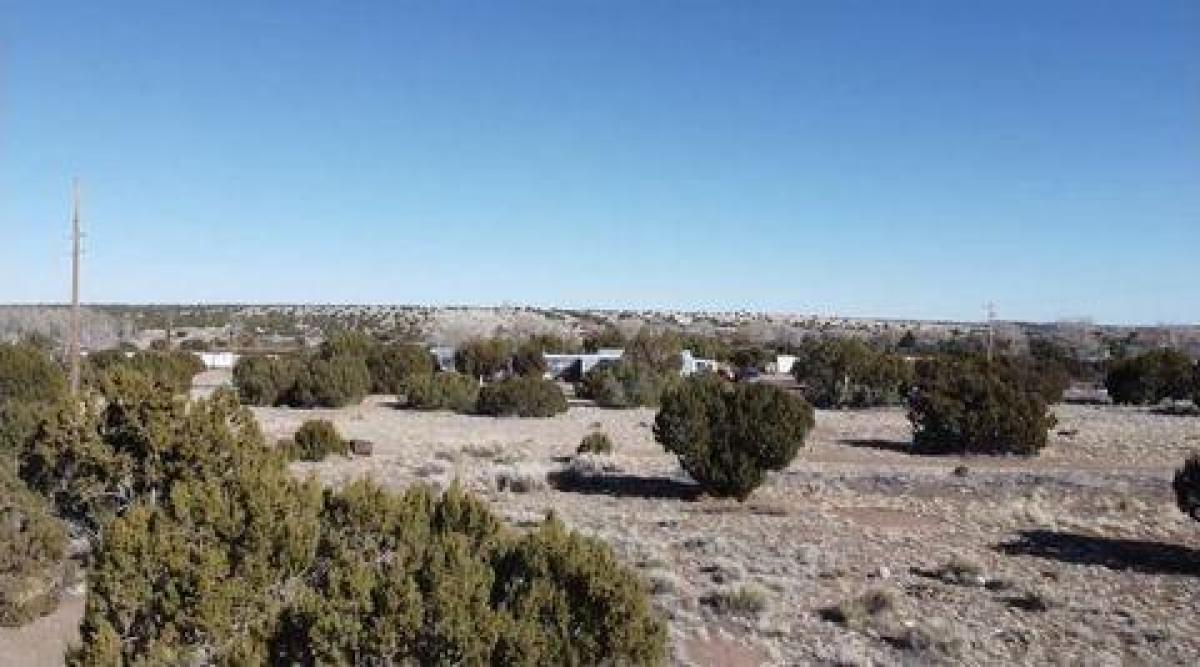Picture of Residential Land For Sale in Concho, Arizona, United States