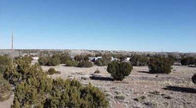 Residential Land For Sale in Concho, Arizona