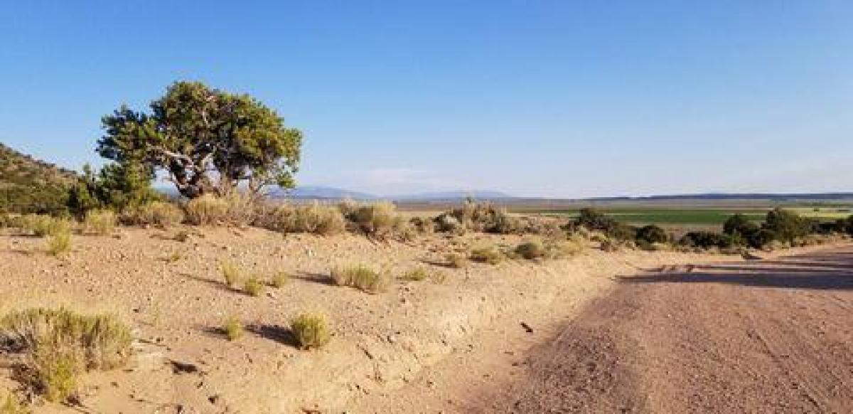 Picture of Residential Land For Sale in Fort Garland, Colorado, United States