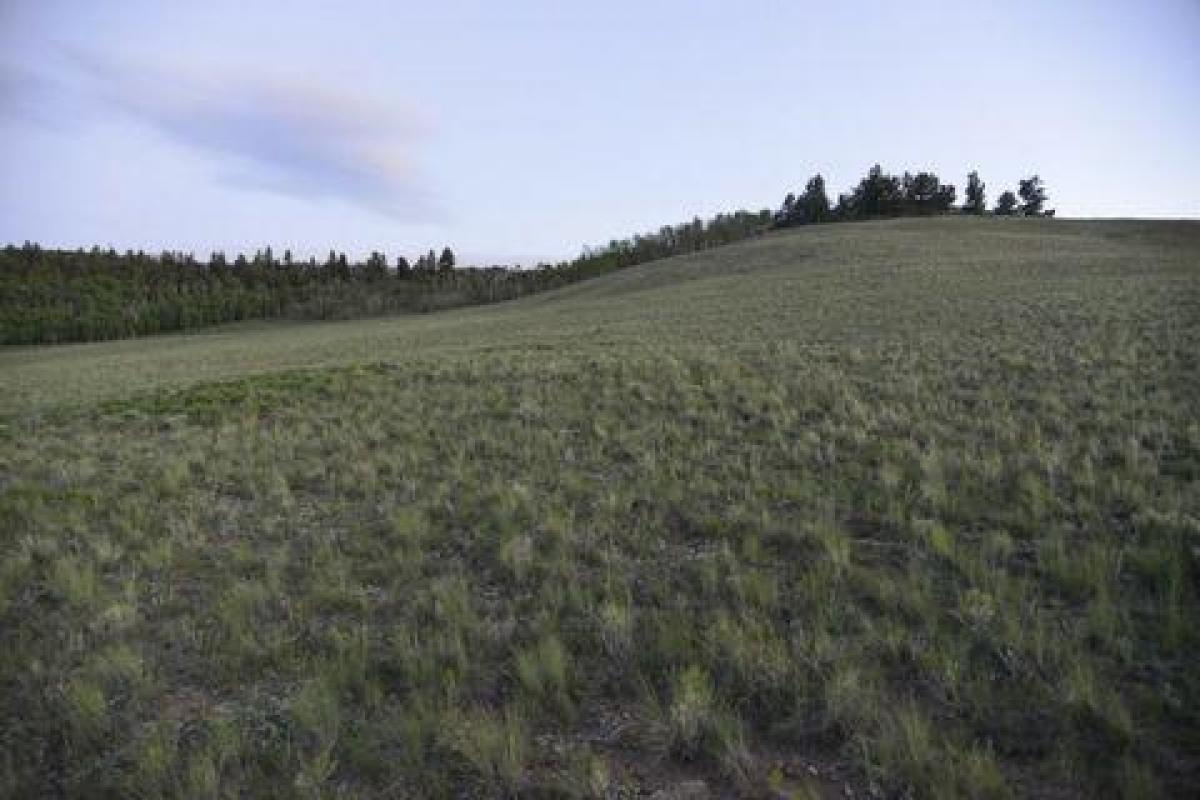 Picture of Residential Land For Sale in Hartsel, Colorado, United States