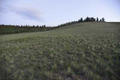 Residential Land For Sale in Hartsel, Colorado