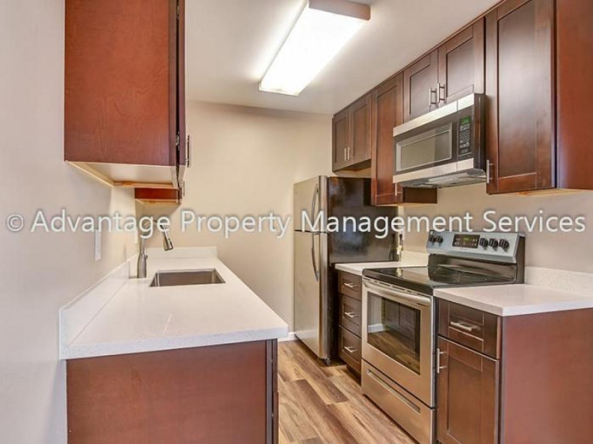 Picture of Apartment For Rent in Castro Valley, California, United States