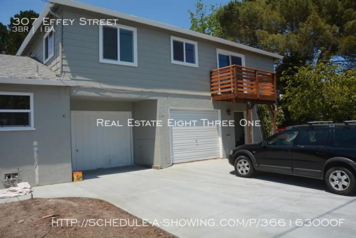Picture of Apartment For Rent in Santa Cruz, California, United States