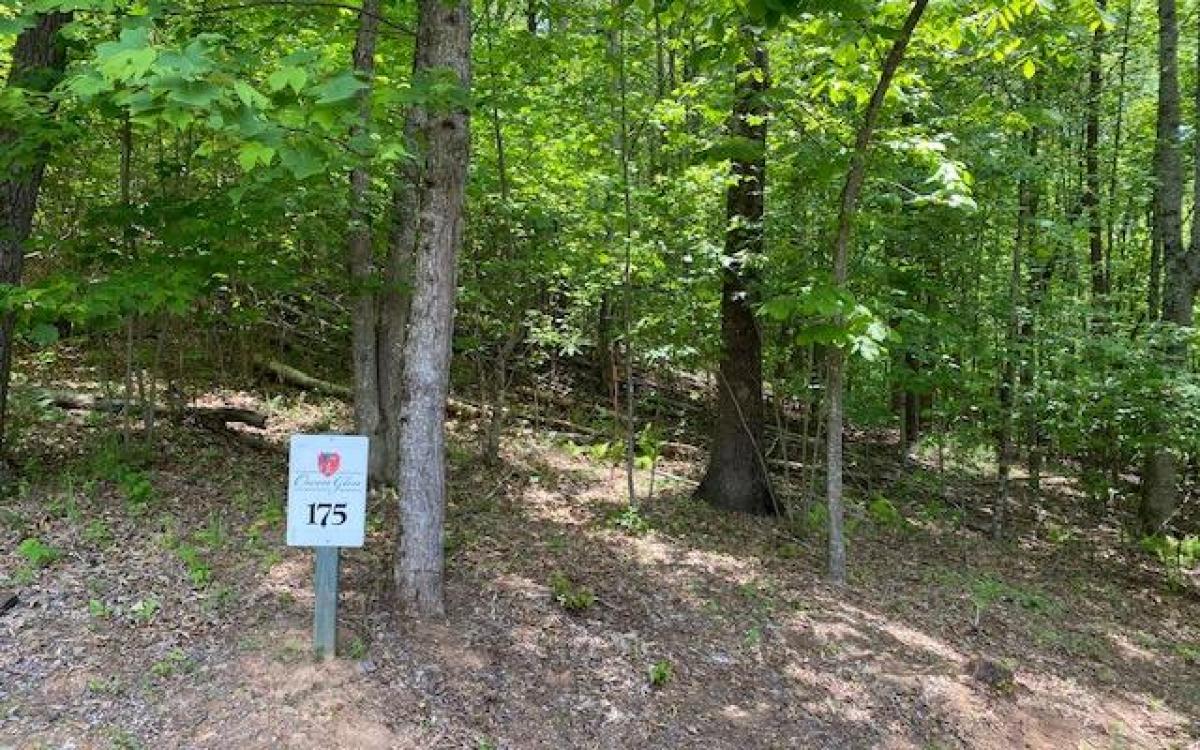 Picture of Residential Land For Sale in Blairsville, Georgia, United States