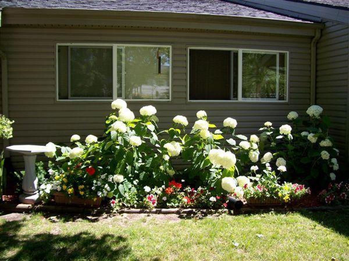 226 N. East Street, Bellevue, Michigan, United States Apartments For