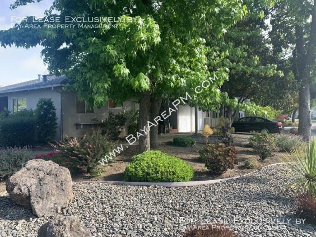 Picture of Apartment For Rent in Menlo Park, California, United States