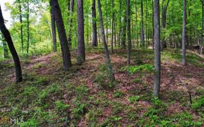 Residential Land For Sale in Blairsville, Georgia