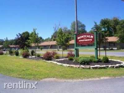 Apartment For Rent in 