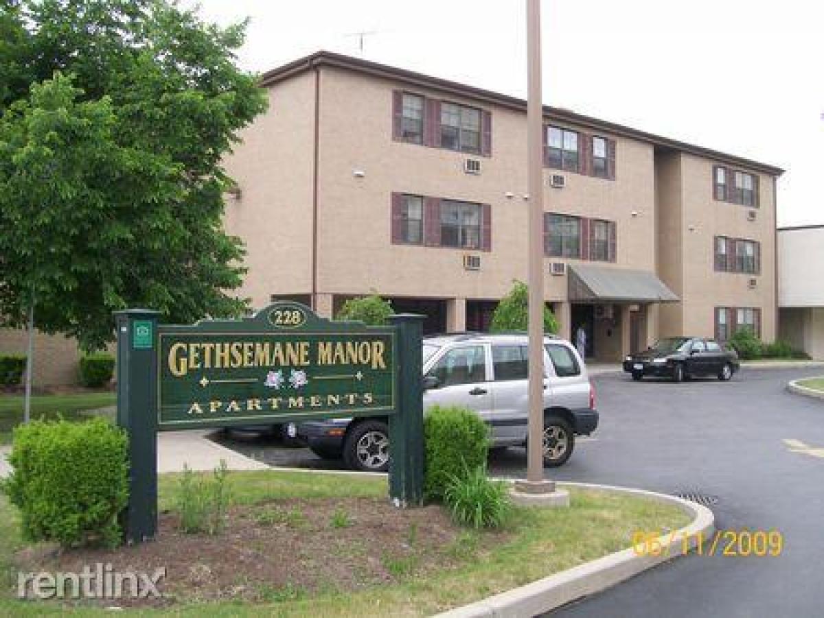 Picture of Apartment For Rent in Buffalo, New York, United States