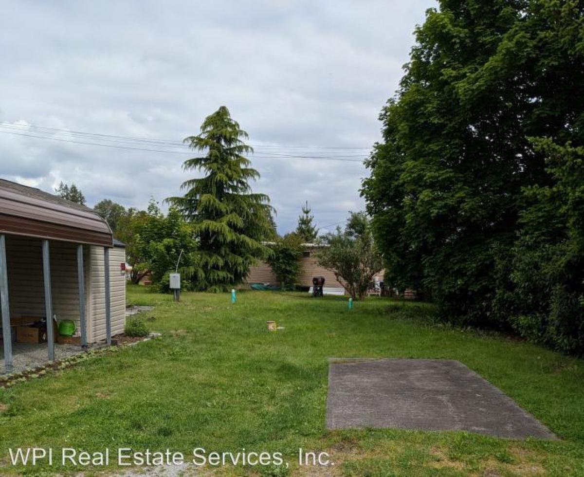 Picture of Apartment For Rent in Marysville, Washington, United States