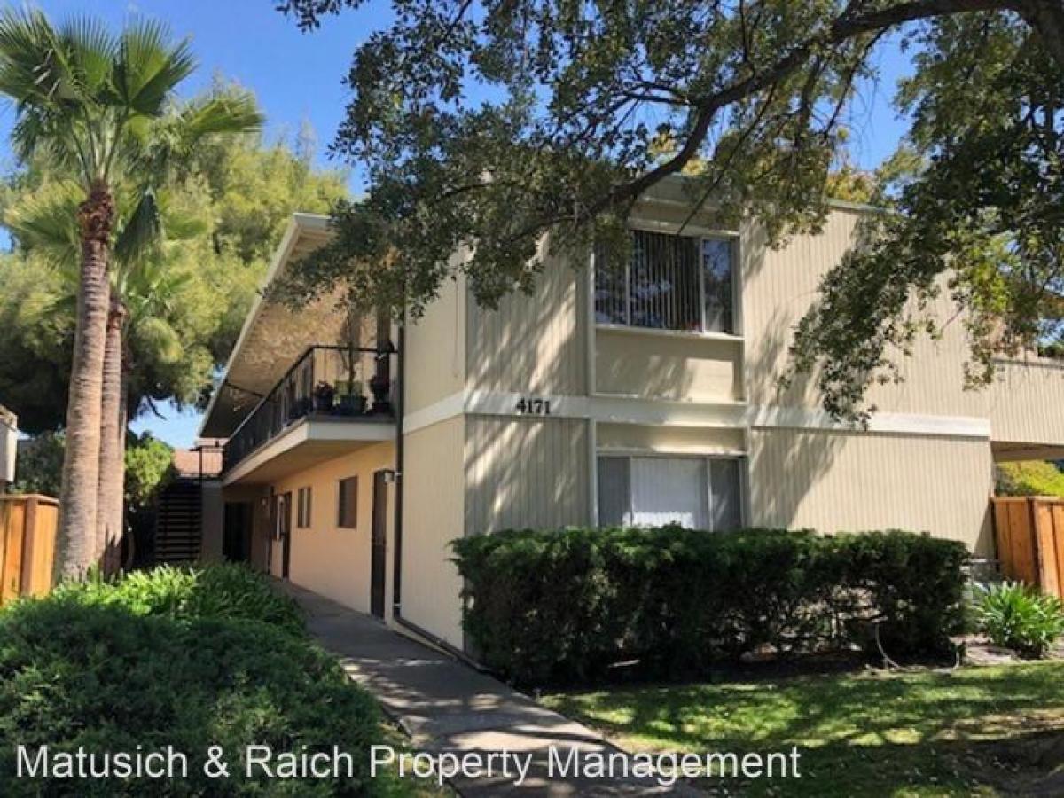 Picture of Apartment For Rent in Palo Alto, California, United States