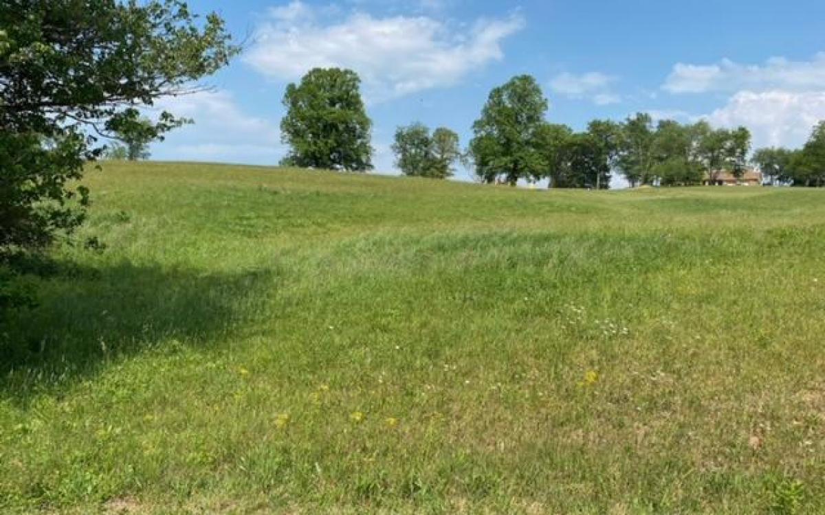 Picture of Residential Land For Sale in Blairsville, Georgia, United States