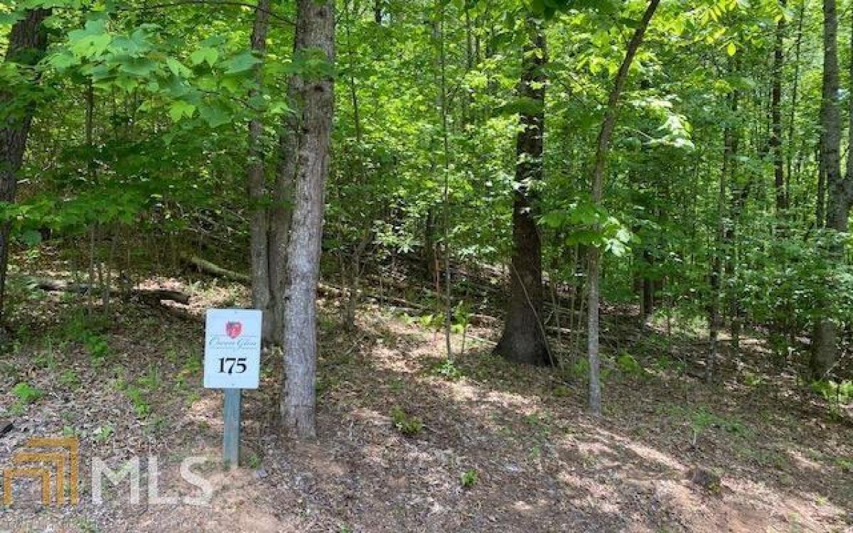 Picture of Residential Land For Sale in Blairsville, Georgia, United States