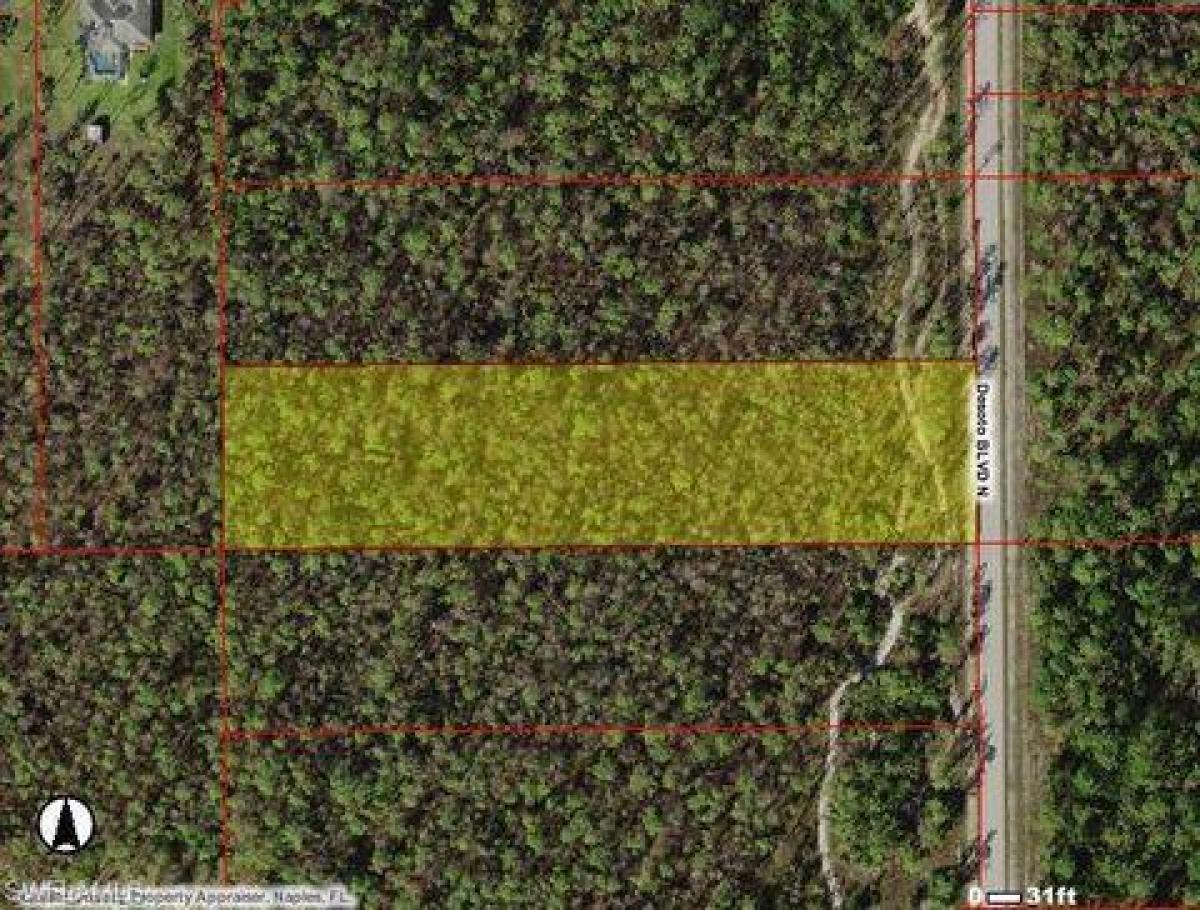 Picture of Residential Land For Sale in Naples, Florida, United States