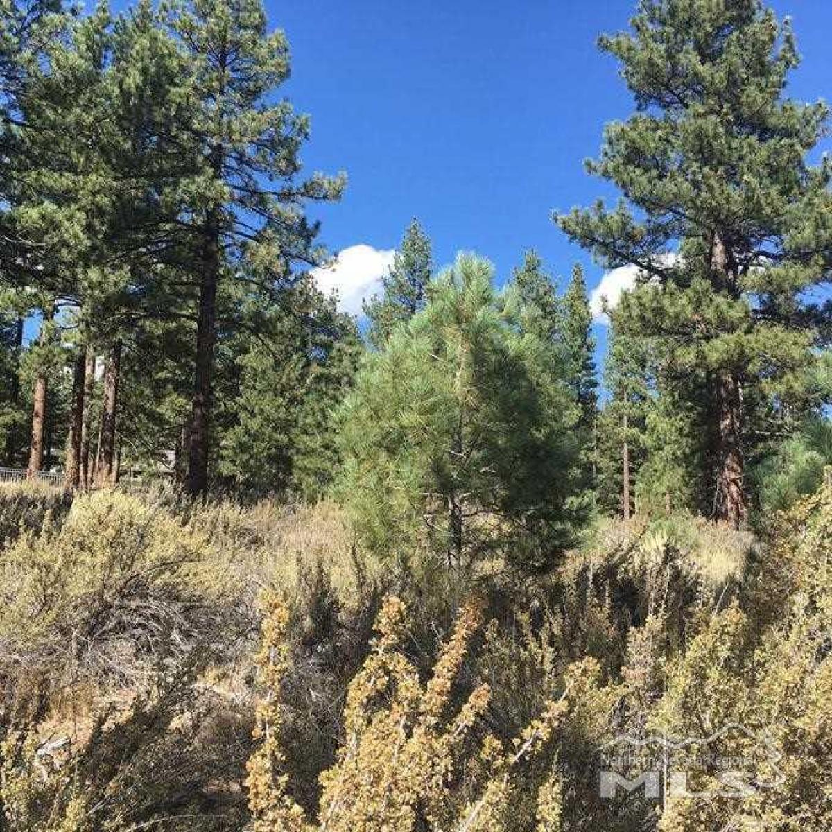 Picture of Residential Land For Sale in Reno, Nevada, United States