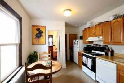 Apartment For Rent in Cambridge, Massachusetts