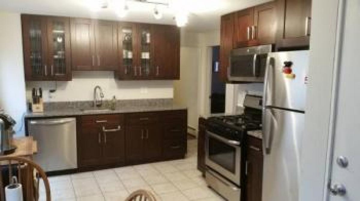 Picture of Apartment For Rent in Cambridge, Massachusetts, United States