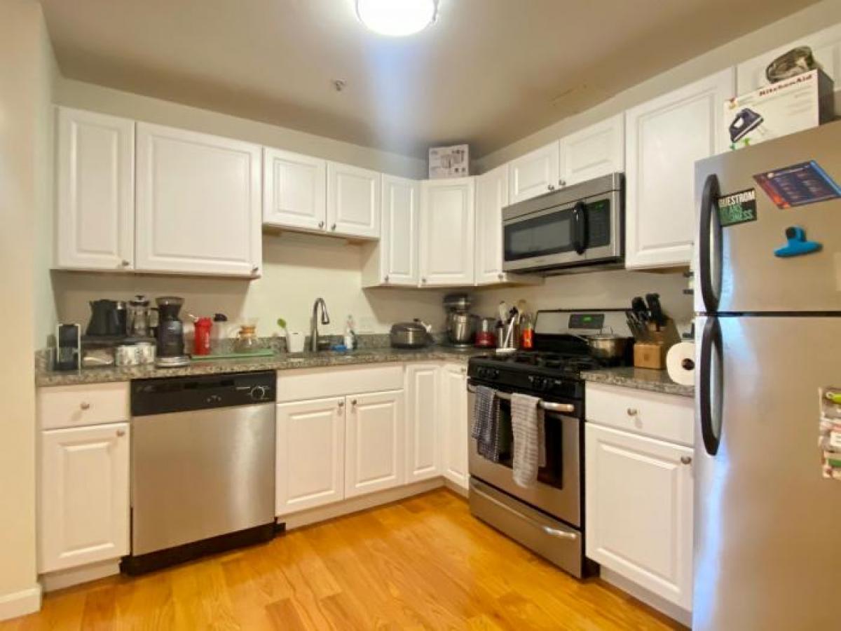 Picture of Apartment For Rent in Cambridge, Massachusetts, United States