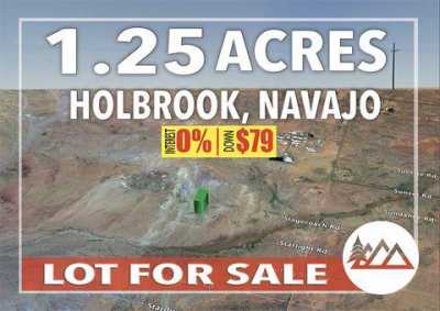 Residential Land For Sale in Holbrook, Arizona