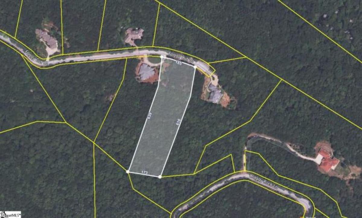 Picture of Residential Land For Sale in Landrum, South Carolina, United States