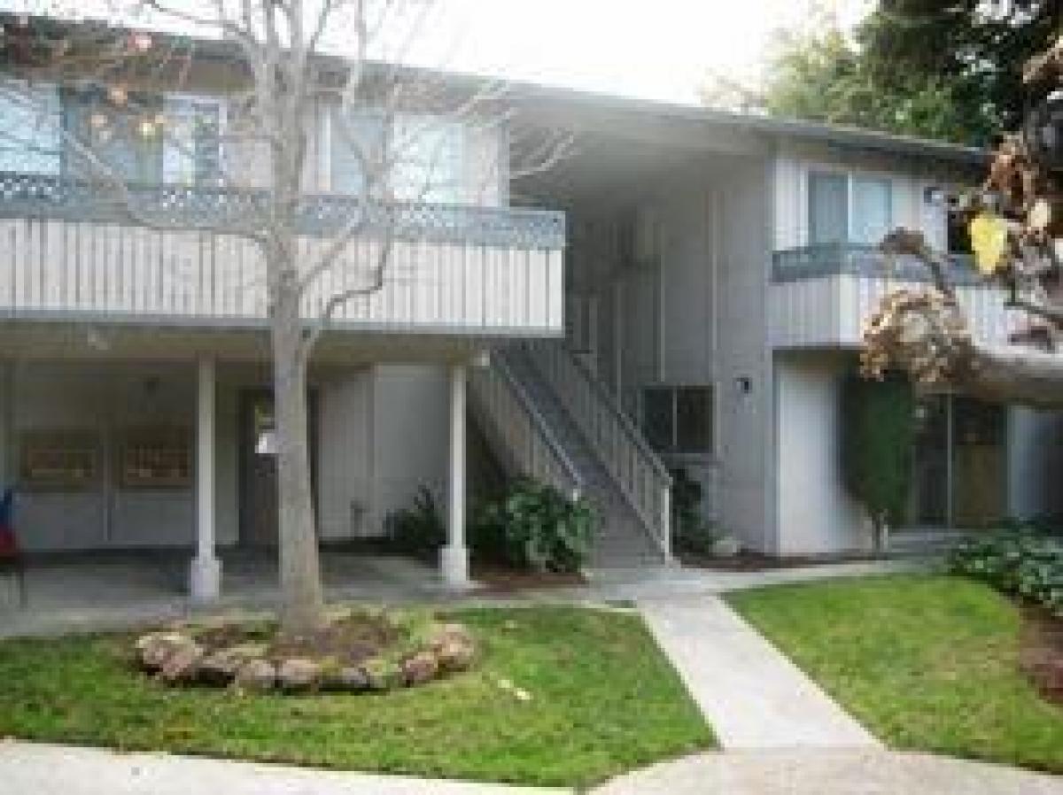 Picture of Apartment For Rent in Santa Clara, California, United States