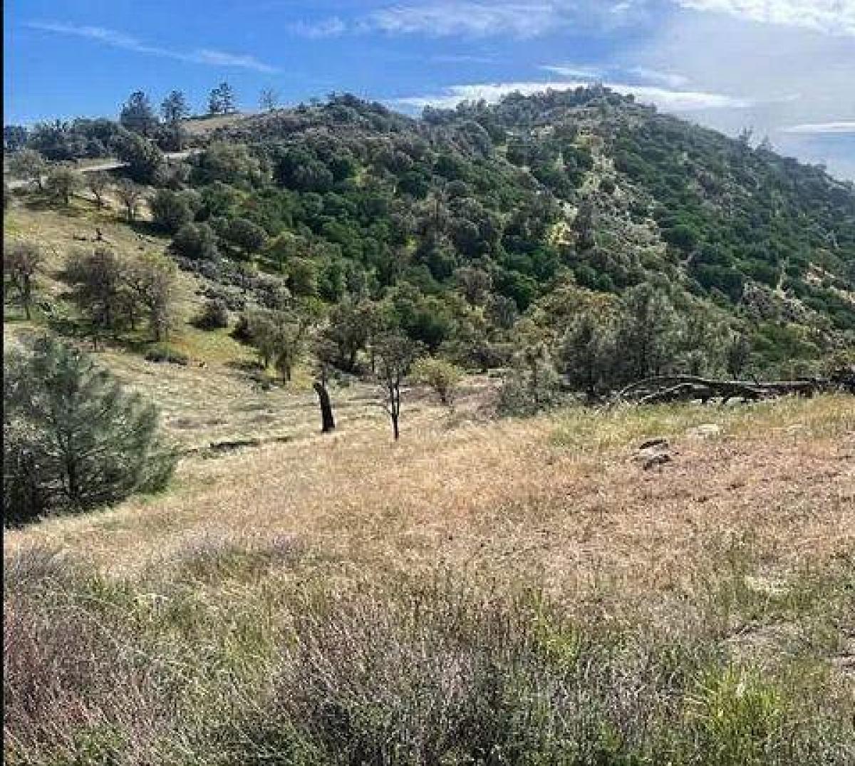 Picture of Residential Land For Sale in Tehachapi, California, United States