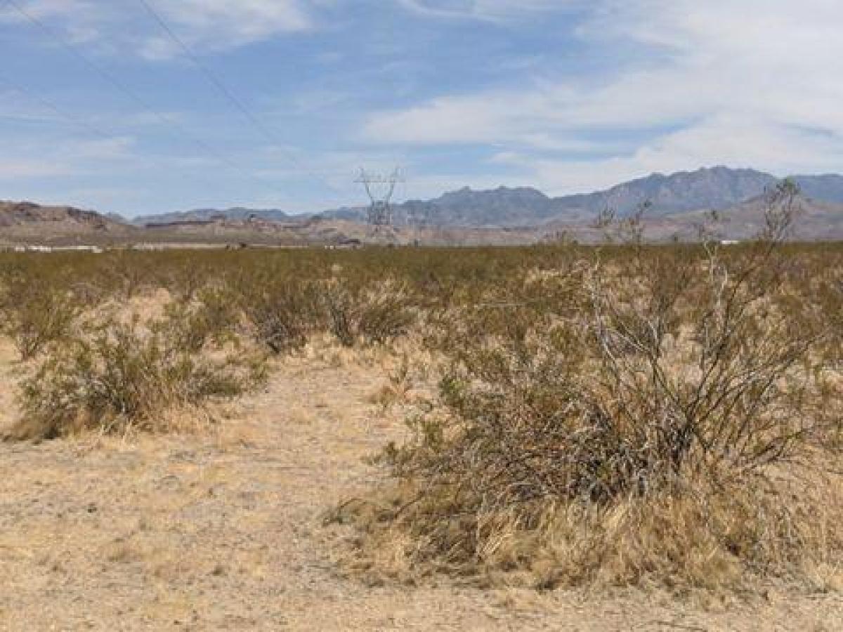 Picture of Residential Land For Sale in Golden Valley, Arizona, United States