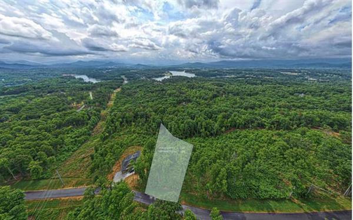 Picture of Residential Land For Sale in Blairsville, Georgia, United States