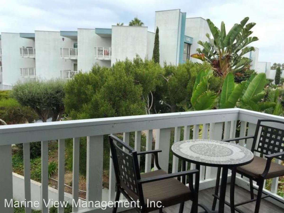 Picture of Apartment For Rent in Redondo Beach, California, United States
