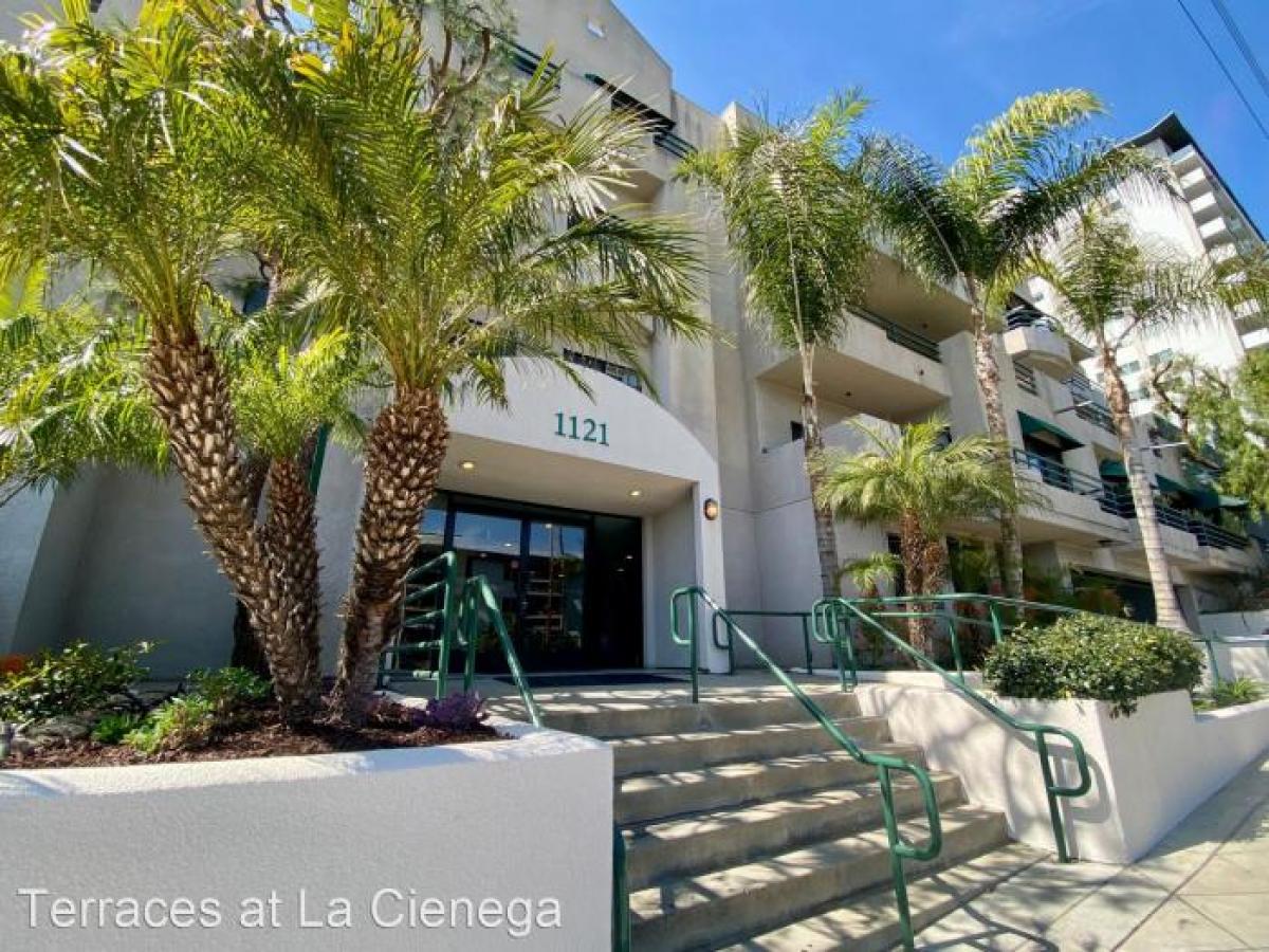 Picture of Apartment For Rent in West Hollywood, California, United States