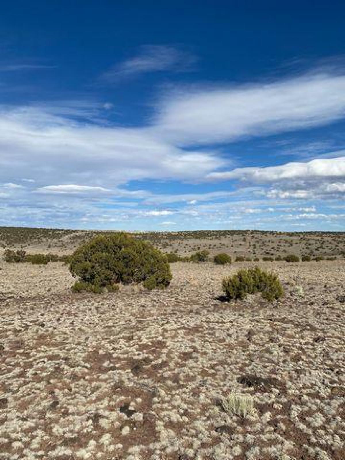 Picture of Residential Land For Sale in Concho, Arizona, United States