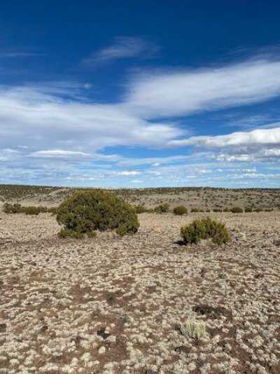 Residential Land For Sale in Concho, Arizona