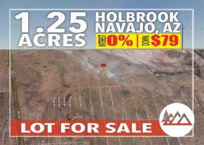 Residential Land For Sale in Holbrook, Arizona
