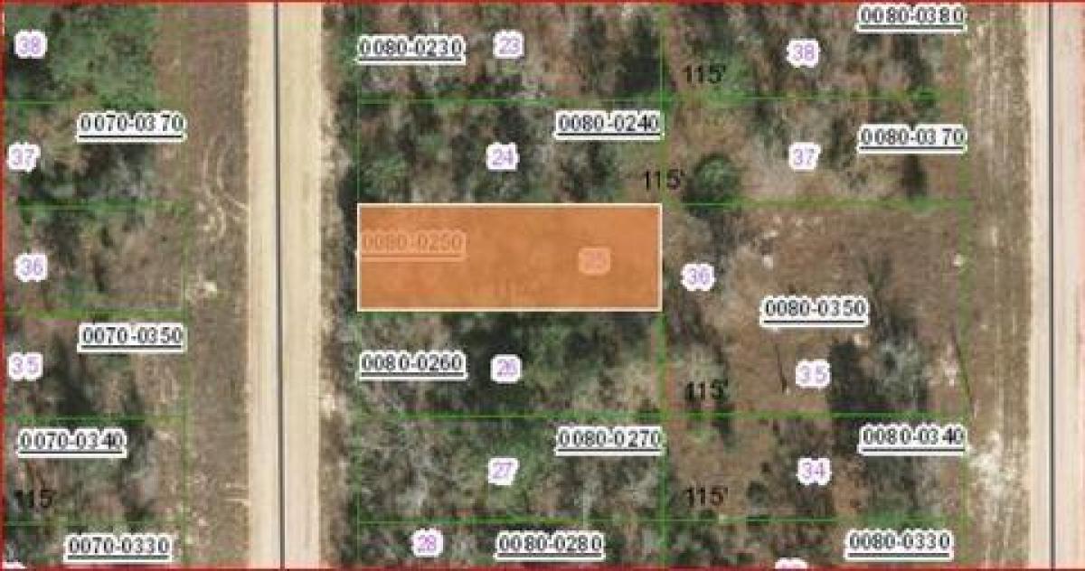 Picture of Residential Land For Sale in Interlachen, Florida, United States