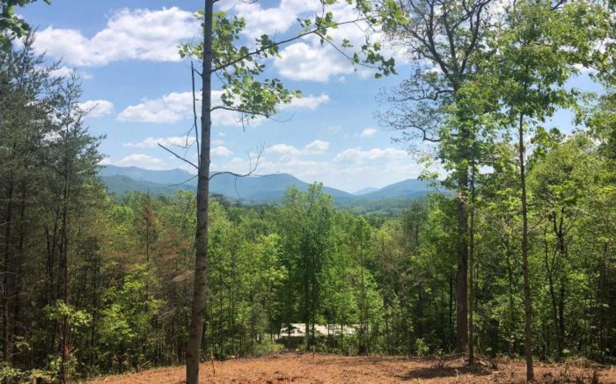 Picture of Residential Land For Sale in Young Harris, Georgia, United States