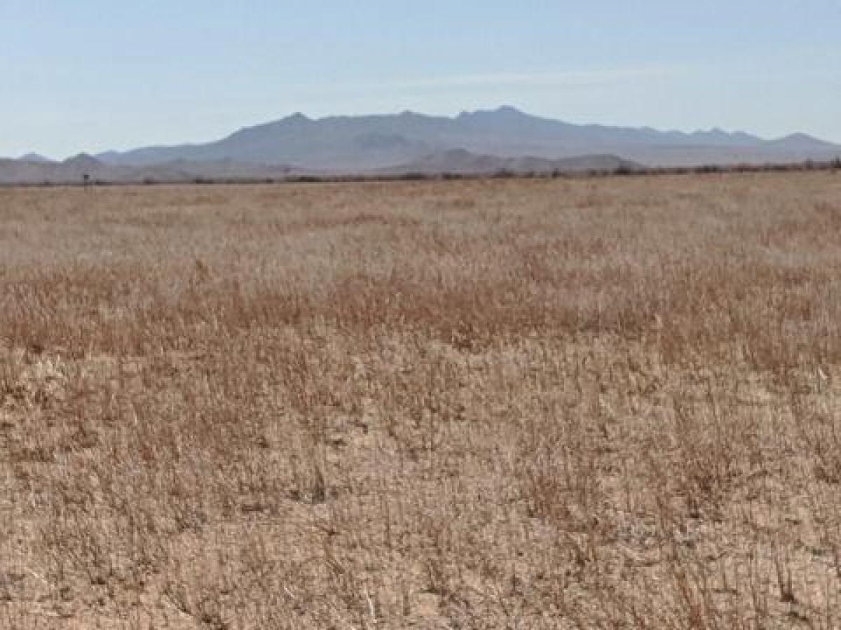 Picture of Residential Land For Sale in Dolan Springs, Arizona, United States