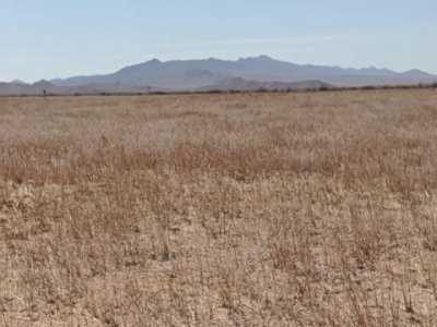 Residential Land For Sale in Dolan Springs, Arizona