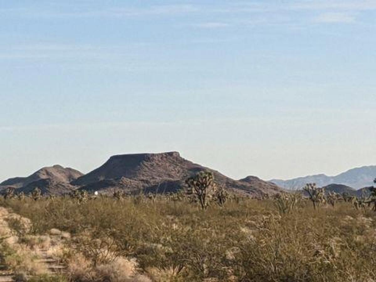 Picture of Residential Land For Sale in Dolan Springs, Arizona, United States