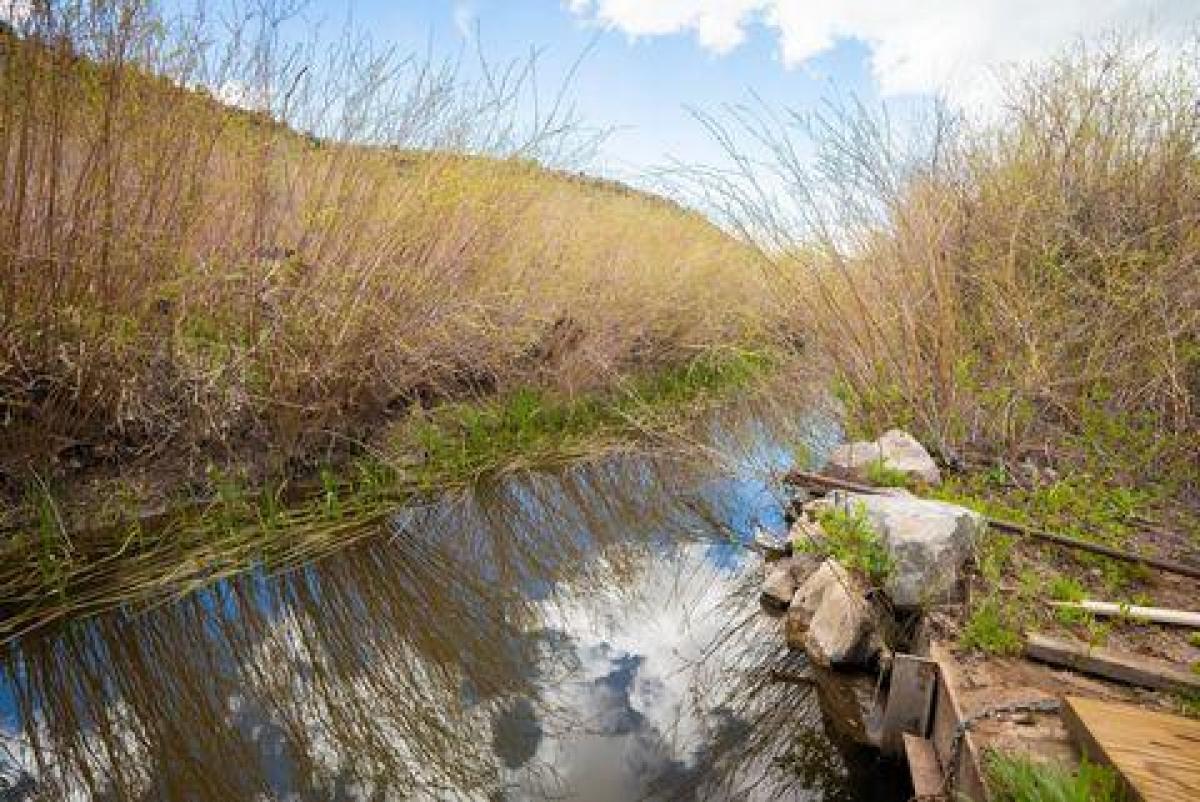 Picture of Residential Land For Sale in Del Norte, Colorado, United States