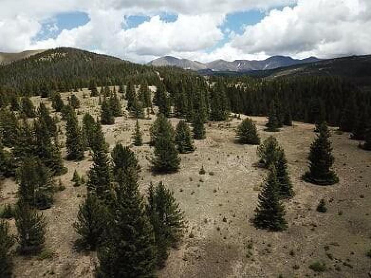 Picture of Residential Land For Sale in Fort Garland, Colorado, United States