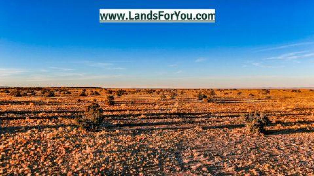 Picture of Residential Land For Sale in Winslow, Arizona, United States