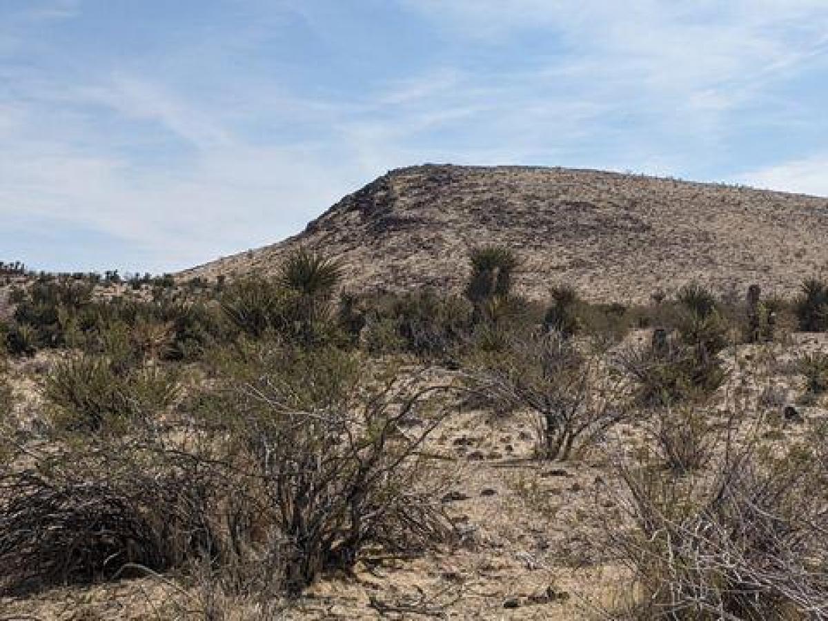 Picture of Residential Land For Sale in Dolan Springs, Arizona, United States