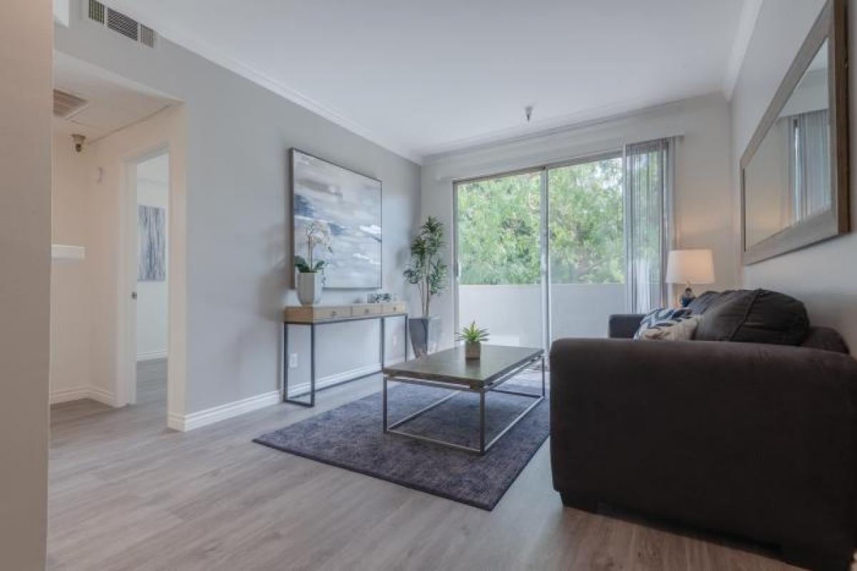 Picture of Apartment For Rent in North Hollywood, California, United States