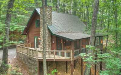 Home For Sale in Cherry Log, Georgia
