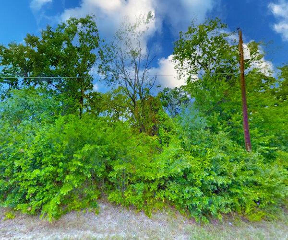 Picture of Residential Land For Sale in Mabank, Texas, United States