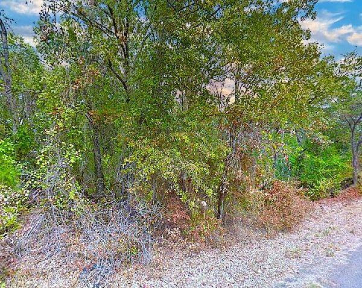 Picture of Residential Land For Sale in Mabank, Texas, United States