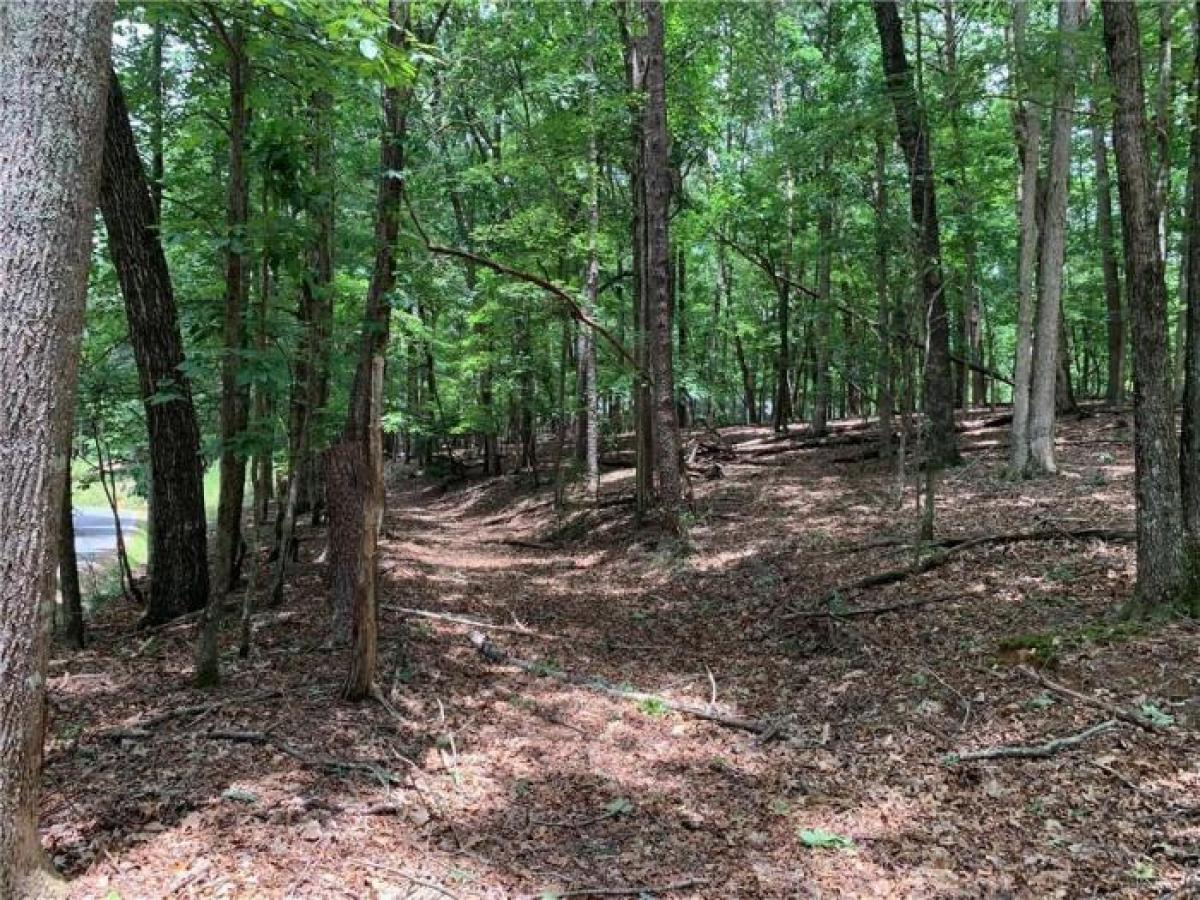 Picture of Residential Land For Sale in Jasper, Georgia, United States